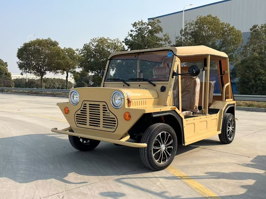 MINI MOKE